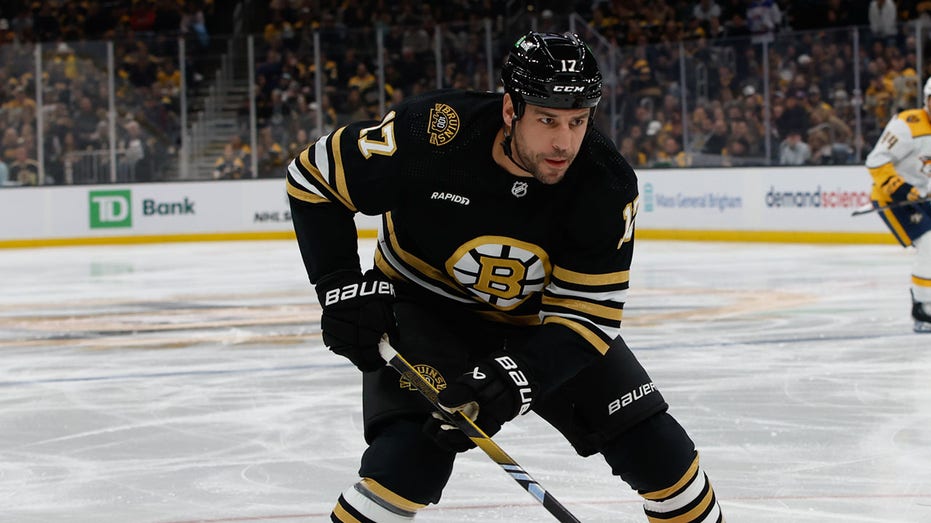 Bruins star’s wife files for divorce 5 months after his domestic arrest: report
