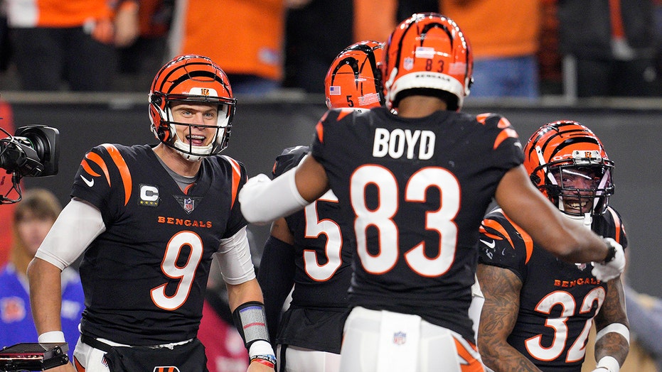 Joe Burrow looking concerned on the bench