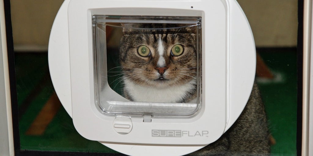 Face recognition hot sale cat flap