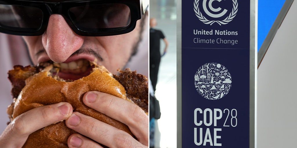 UN climate summit serving burgers, BBQ as it calls for US to stop eating meat - Vimarsana News