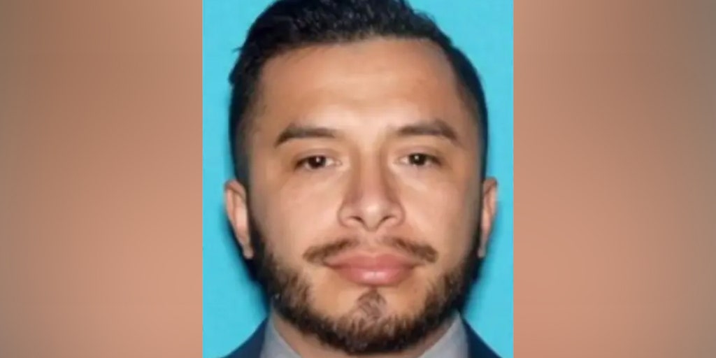 Controversial left-wing activist, 7 others arrested after probe into 'brutal' assault at California protest - Vimarsana News