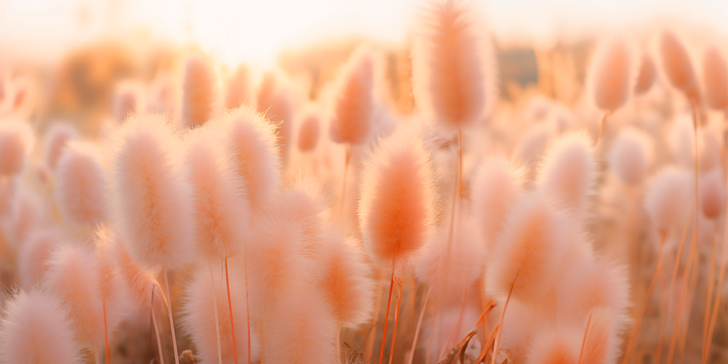 Pantone unveils 2024 color of the year — plus woman hosts 'cheap' Costco party - Vimarsana News
