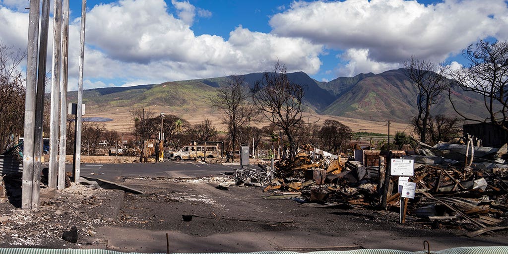 Law students provide pro bono help to struggling Maui residents - Vimarsana News