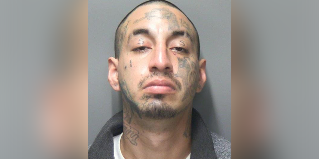 Texas man wearing ankle monitor slashed woman's throat, left her in pasture rolled in plastic: 'Left for dead' - Vimarsana News