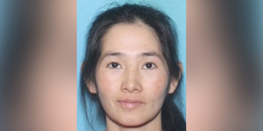 Pennsylvania mother pleads guilty to killing her 2 sons; will spend rest of her life behind bars - Vimarsana News