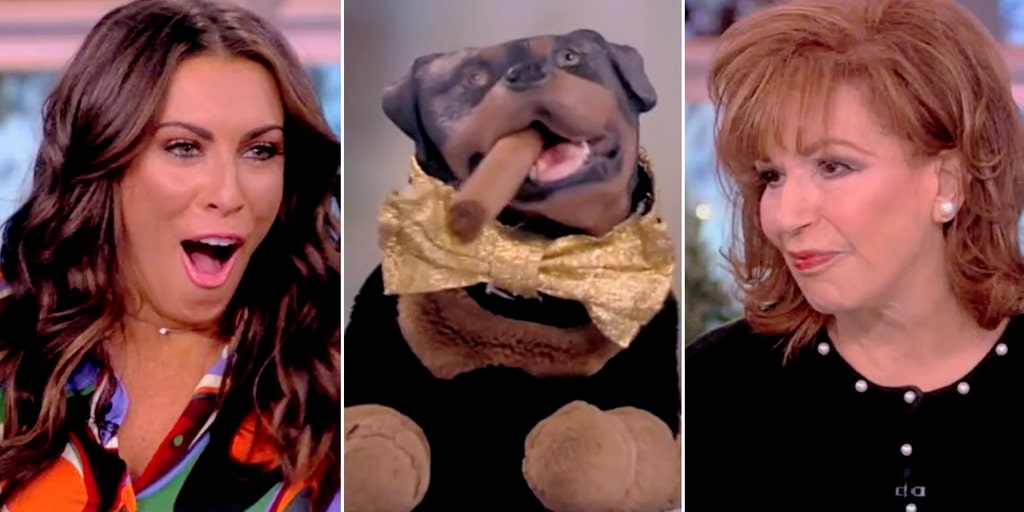The View' roasted by 'Triumph The Insult Comic Dog' as hostile to other women - Vimarsana News
