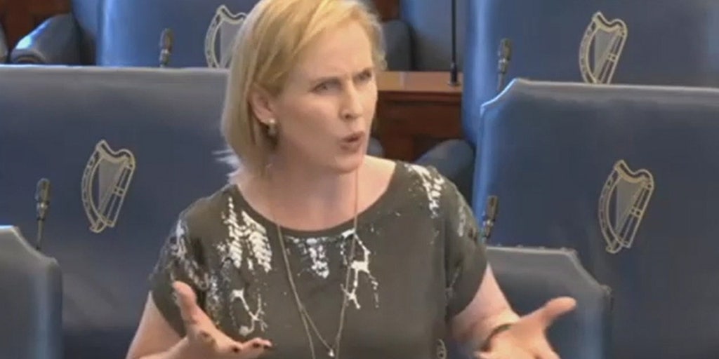 Irish senator under fire for advocating bill to restrict free speech