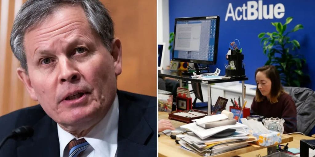 Top Republican calls on Dem fundraiser ActBlue to stop processing donations for Hamas-sympathizing groups - Vimarsana News