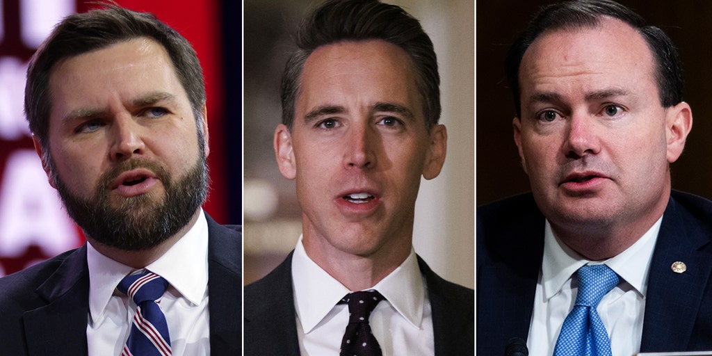 Sens. Vance, Hawley and Lee demand answers on 'concerning' diversity contracts in DOE and NASA - Vimarsana News