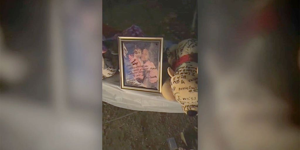 California sisters killed in house fire caused by Christmas tree - Vimarsana News