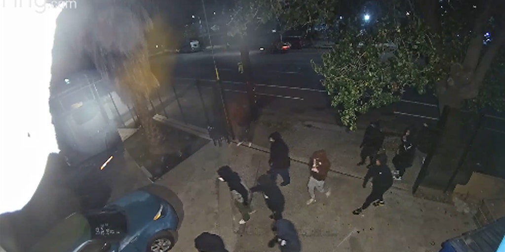 LA business owner slams top Democrats after mob of burglars destroys warehouse: 'I'm sick of it' - Vimarsana News