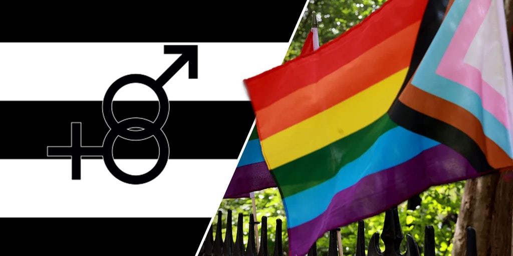 Father sues school district for refusing to display straight pride flag alongside Progress Pride flag - Vimarsana News