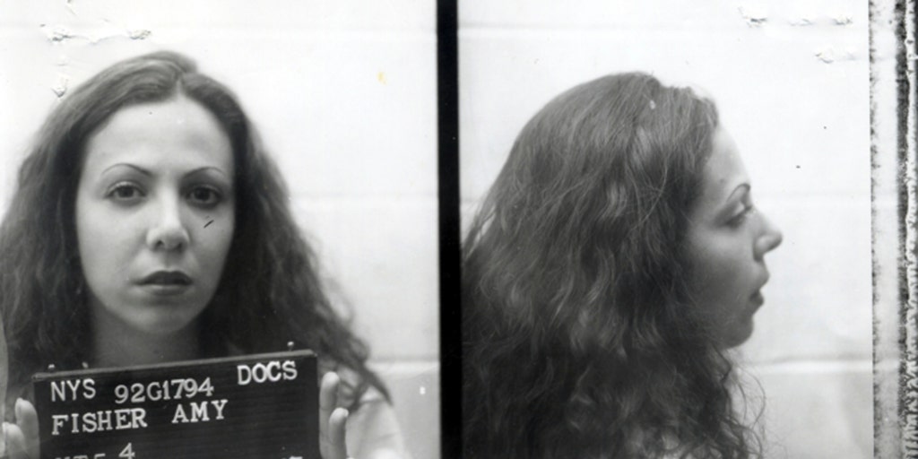 Who Can Forget: The Long Island Lolita and the crime that shocked America - Vimarsana News