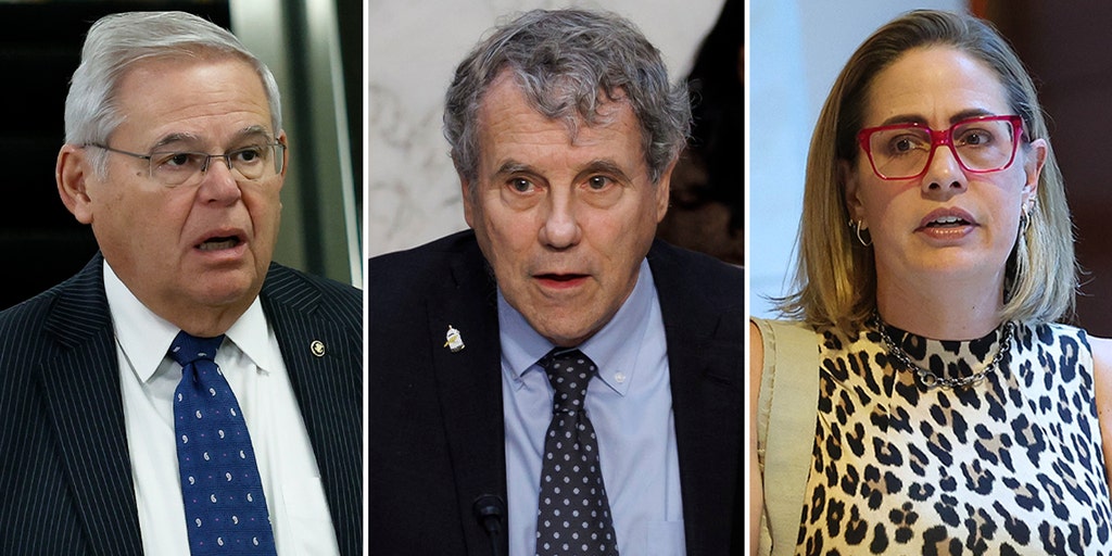 Several Dem members of congress have history of praise for group 'happy' to see Hamas attacks on Israel - Vimarsana News