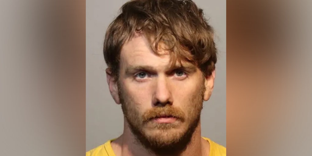 Florida man arrested for intentionally hitting deer, filming it for TikTok: police - Vimarsana News