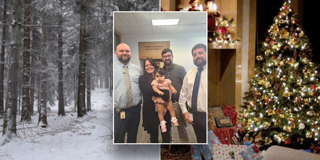 CHRISTMAS MIRACLE: Florida cops who saved newborn baby alone in the woods gets adopted one year later - Vimarsana News