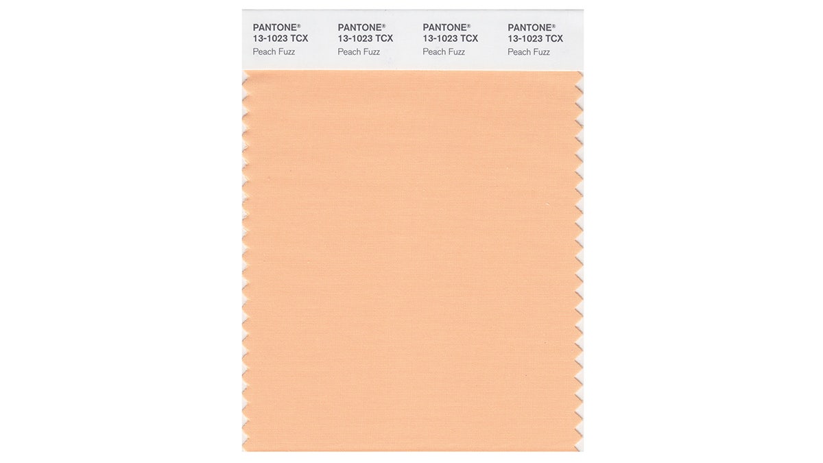 pantone peach fuzz swatch