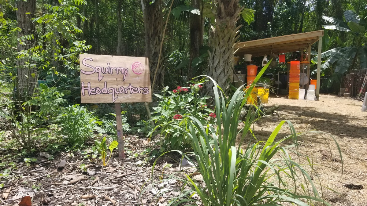 A sign reading "Squirmy headquarters" outside of the Let it Rot farm.