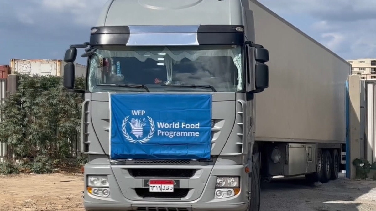 WFP Gaza aid