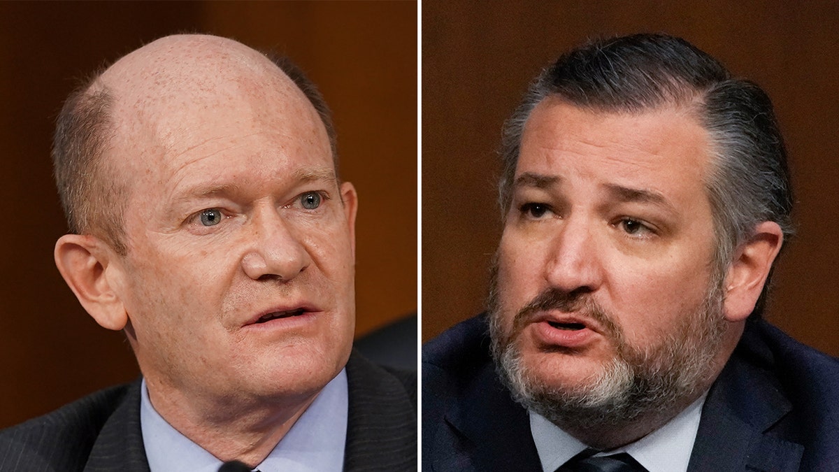 Chris Coons and Ted Cruz