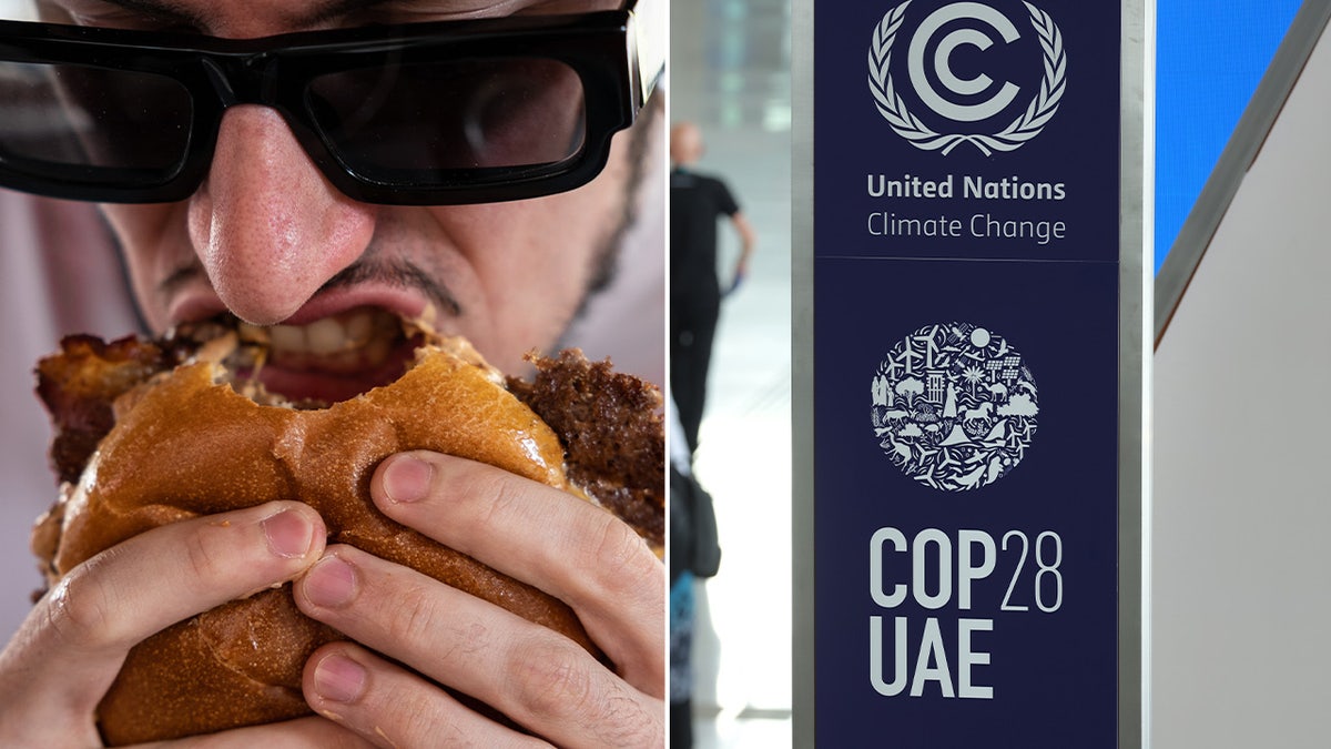 Man eating burger and the COP28 sign