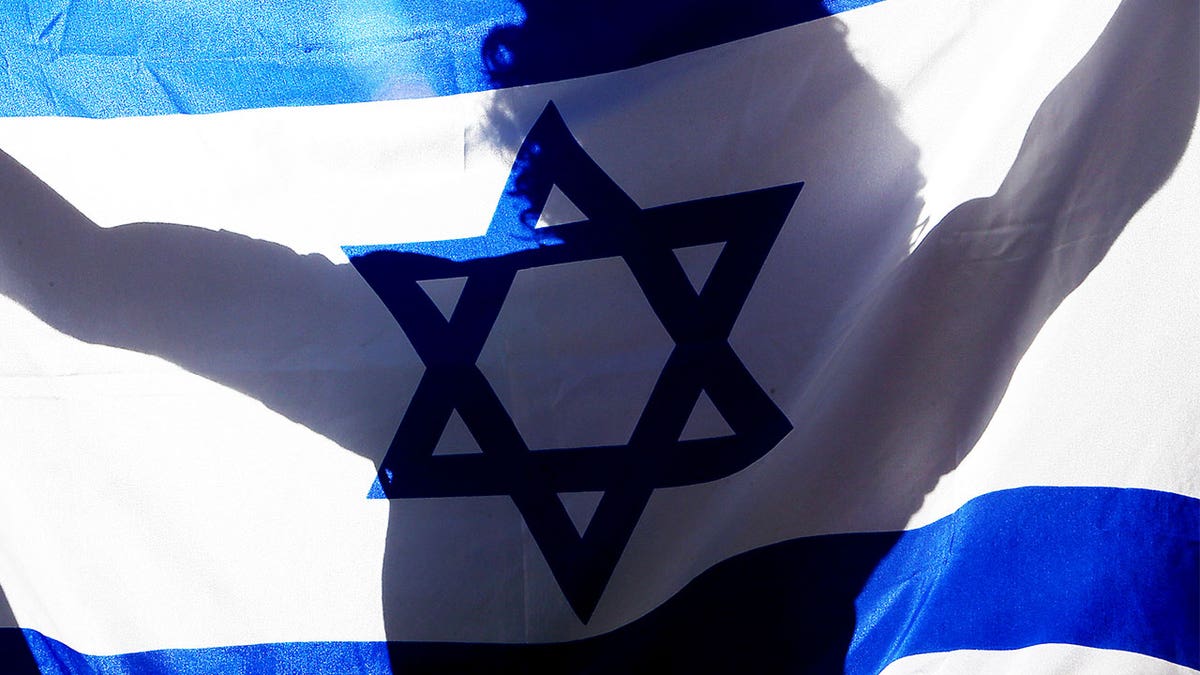 以色列校园国旗示威