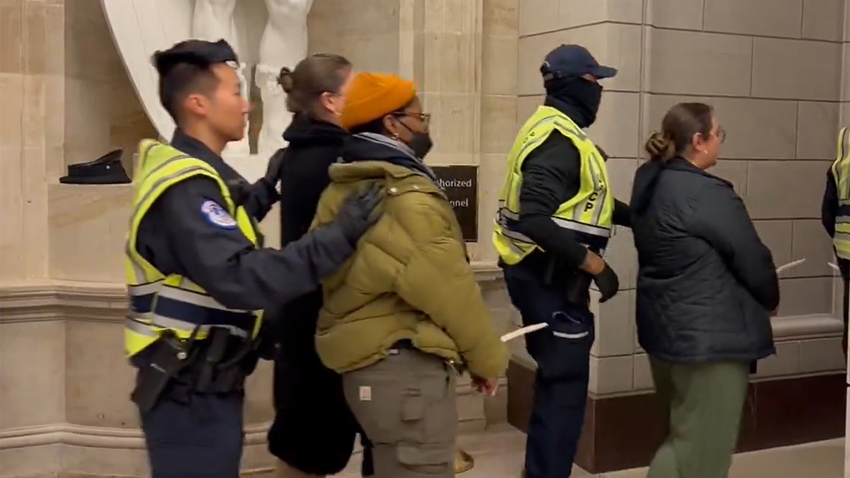 Protesters arrested at Capitol during pro-Palestinian rally