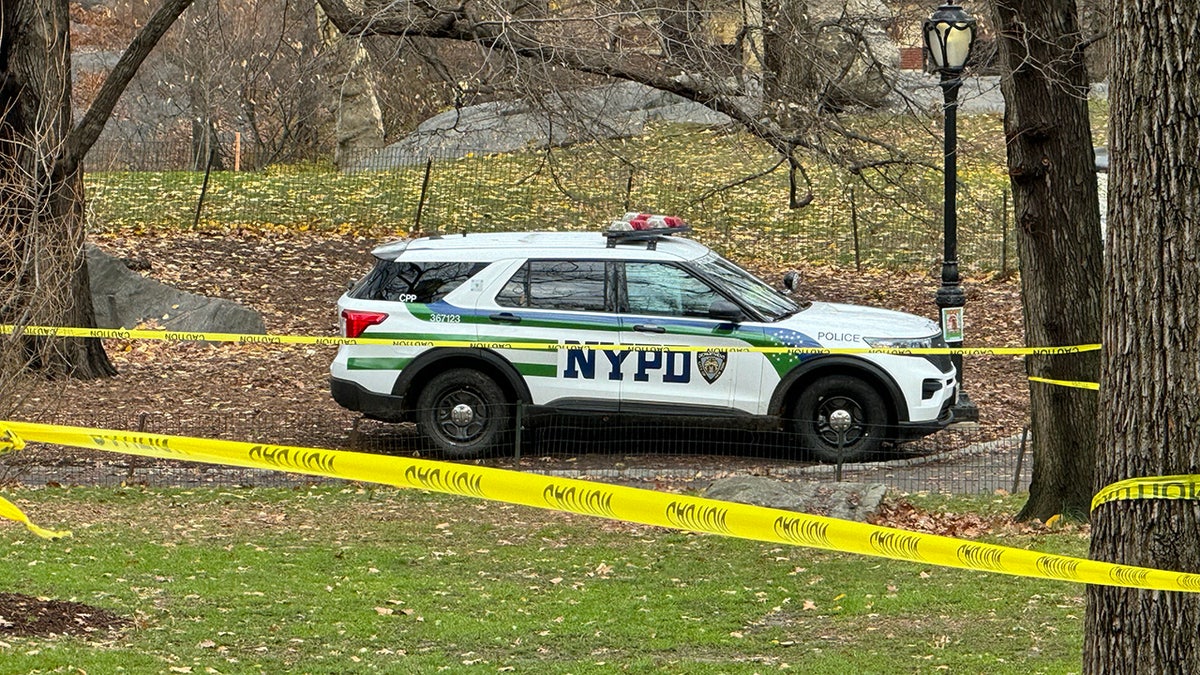 NYPD in Central Park