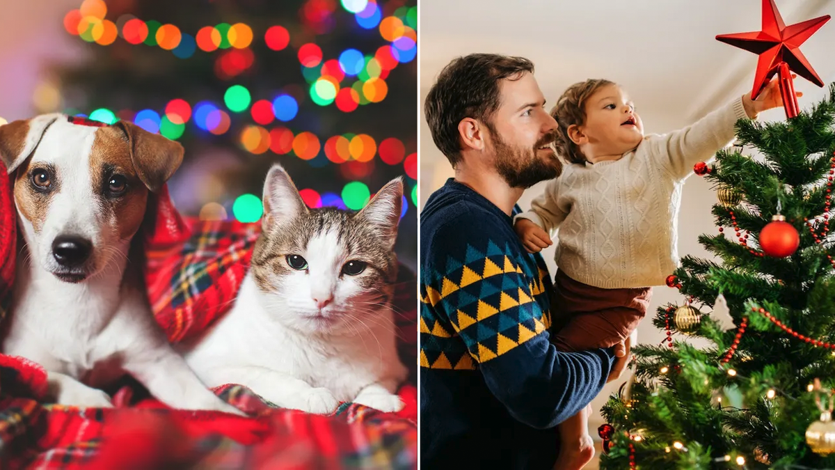 Christmas tree and pets split image