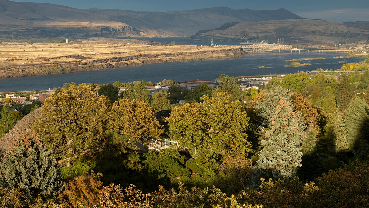 Columbia river, trees, mountains in distance