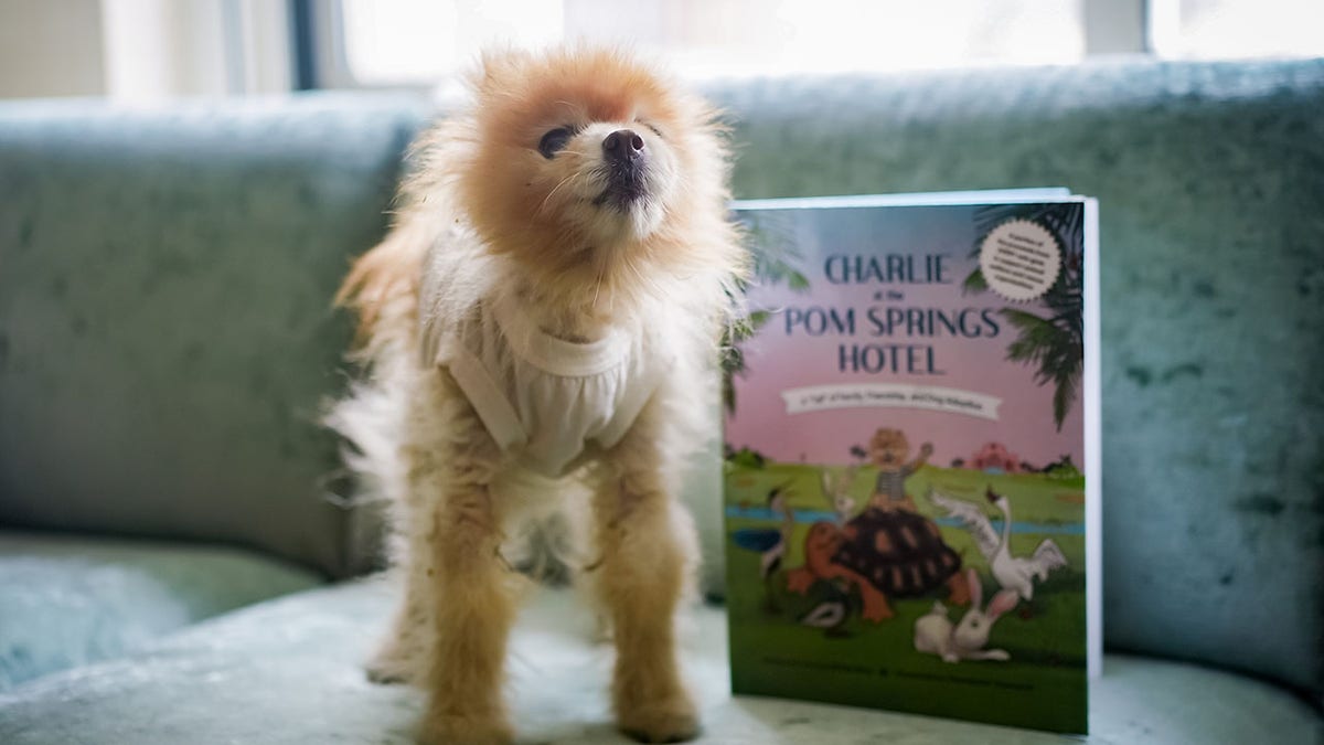 Charlie the Pom next to his book