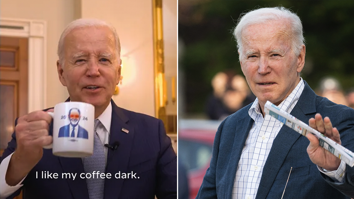 Dark Brandon mug and President Biden split image
