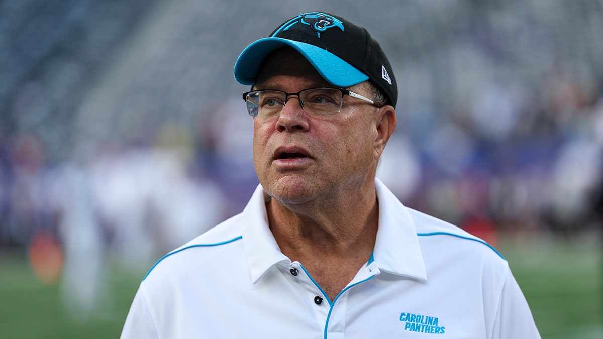David Tepper looks connected field