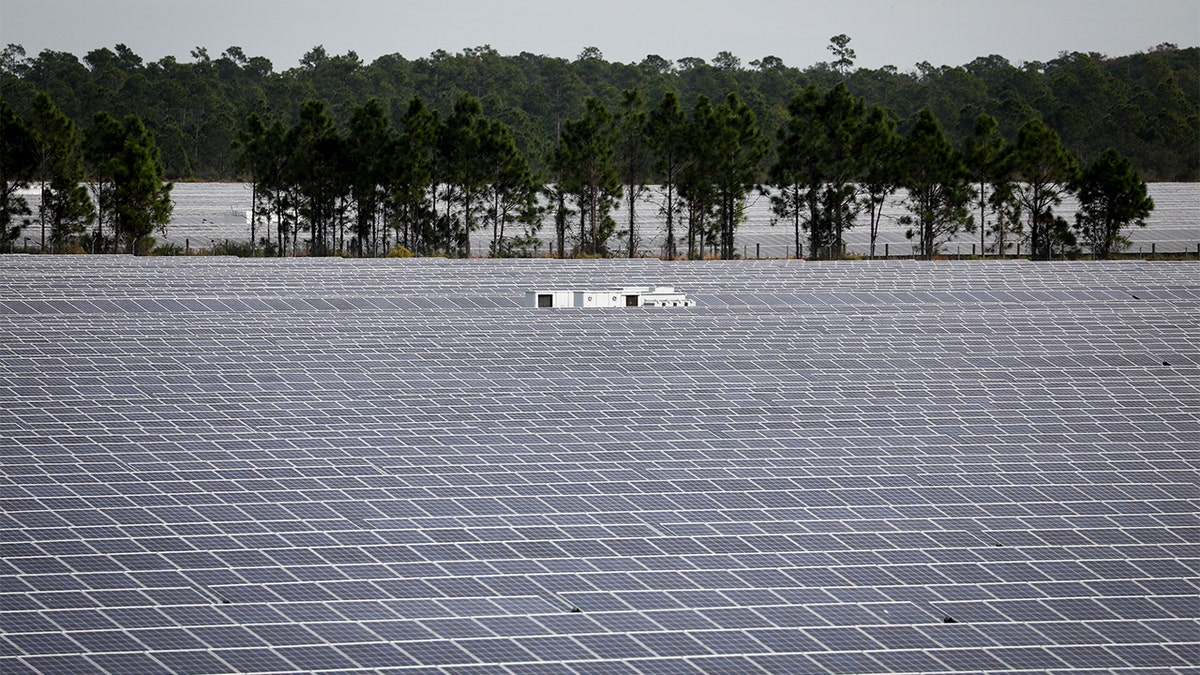 Solar panel farm.