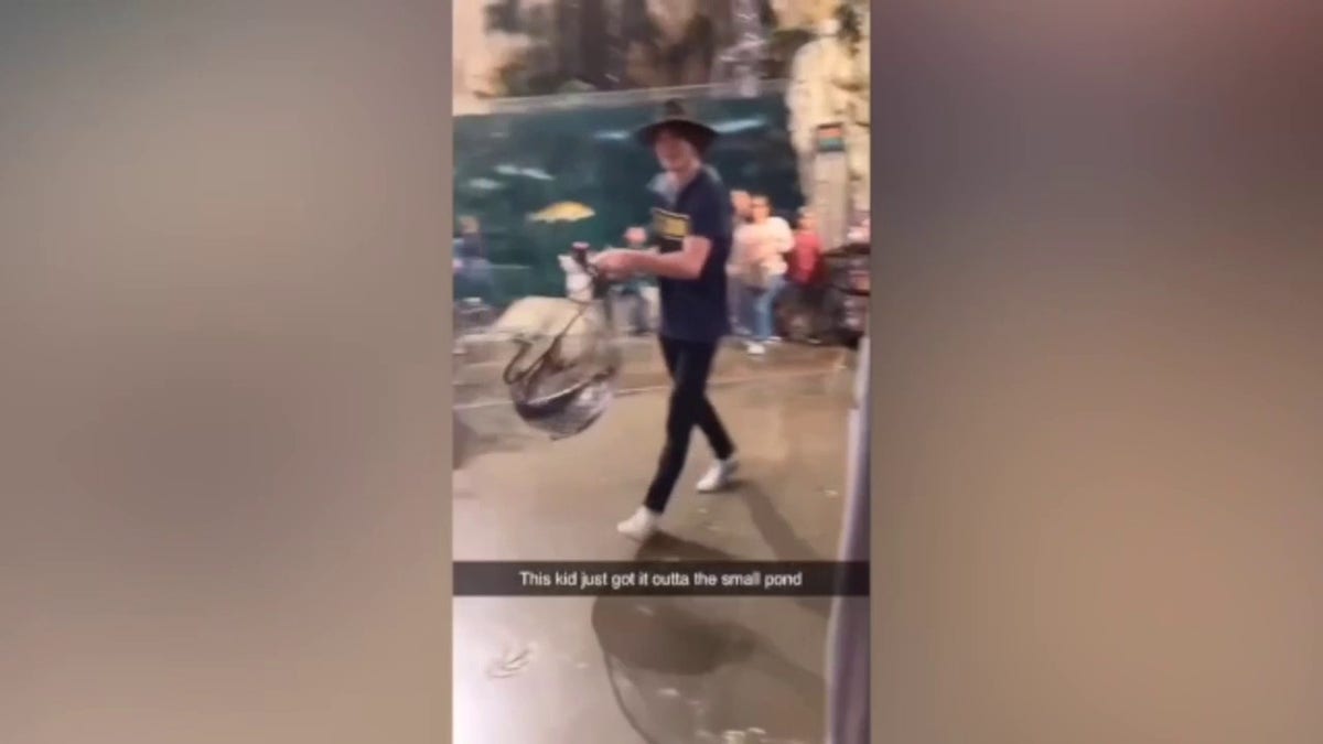Florida man goes fishing in Bass Pro Shops pond, flees with live