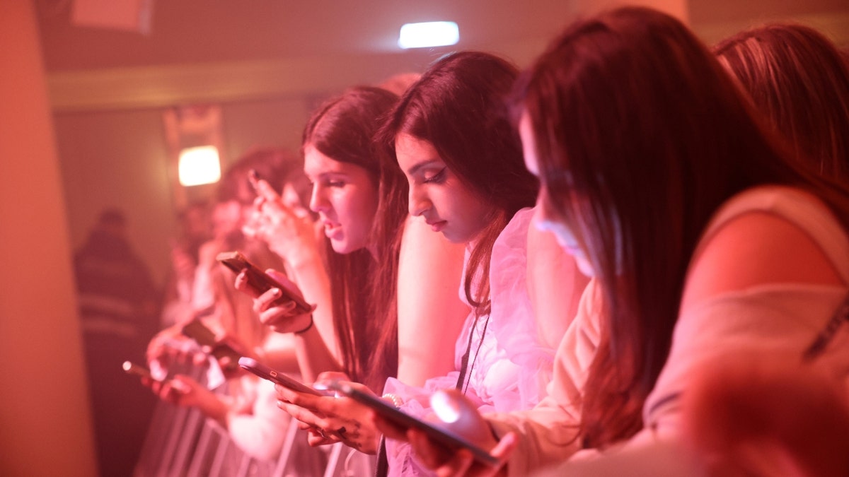 Chicas hablando por teléfono en un concierto