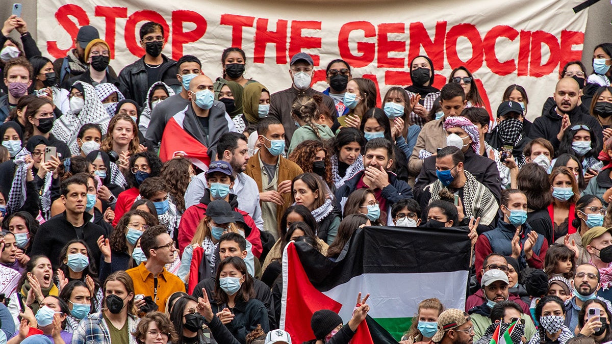Pro-Palestinian protest at Harvard