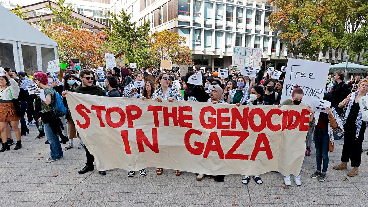 Harvard protesters hold a sign saying Stop the Genocide in Gaza