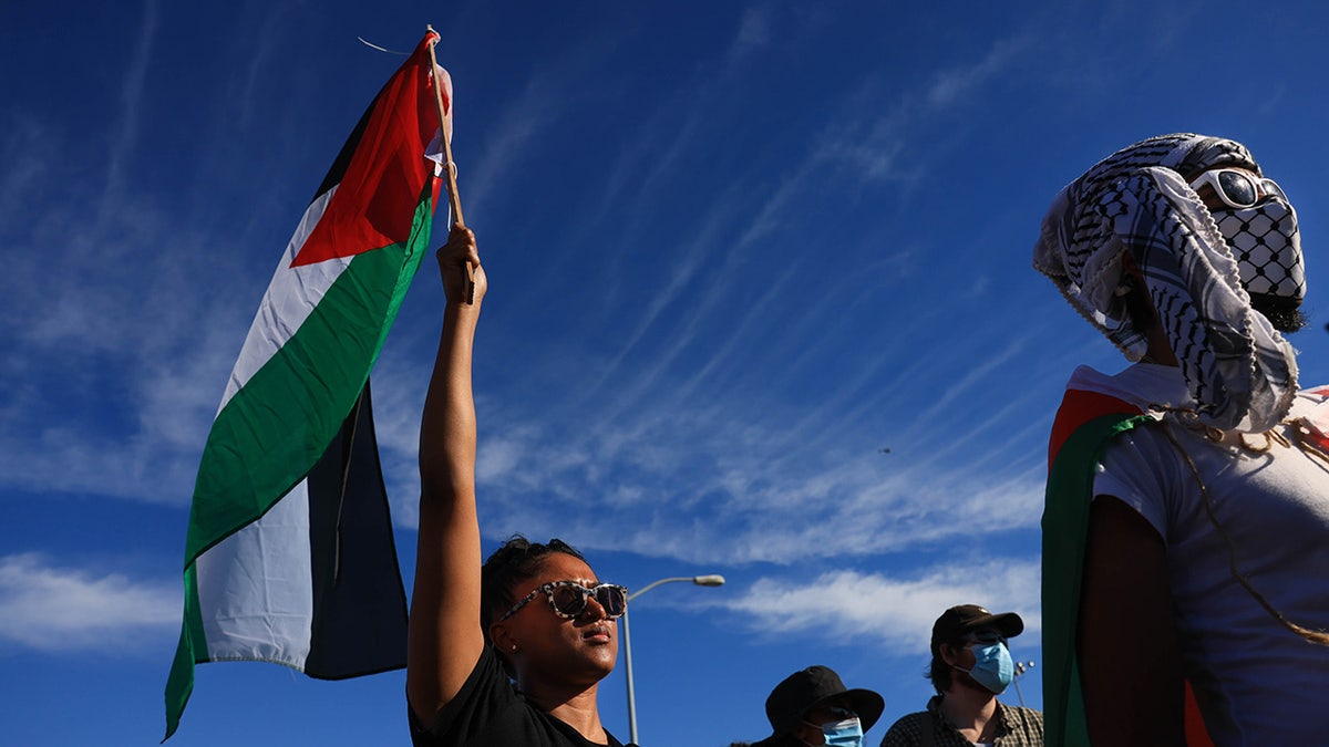 Palestine protester in Oakland