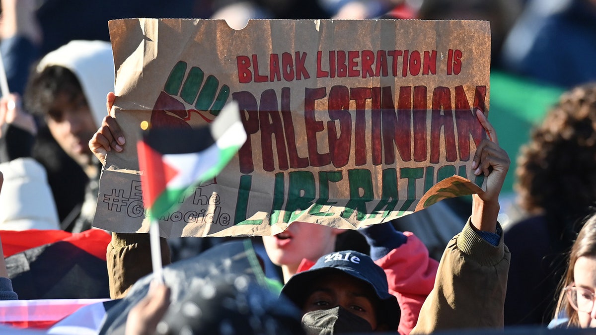 Harvard student football fans protest in support of Palestine