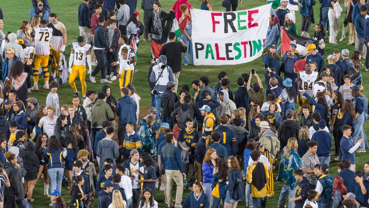 Protesters hold a Free Palestine banner at a UC Berkeley fotball game