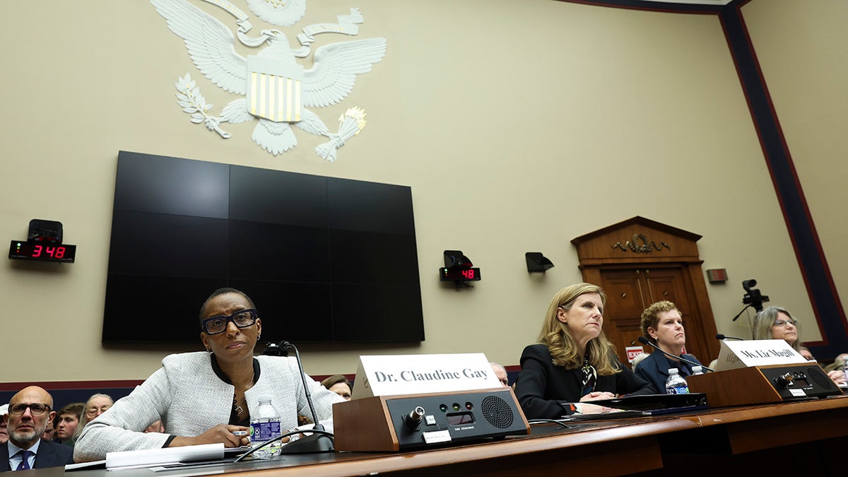 El presidente de Harvard testifica