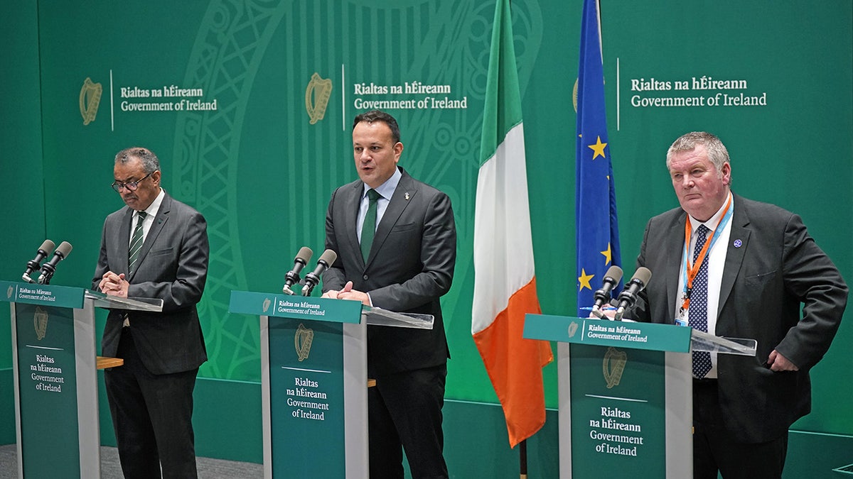 Ireland welcomes WHO officials