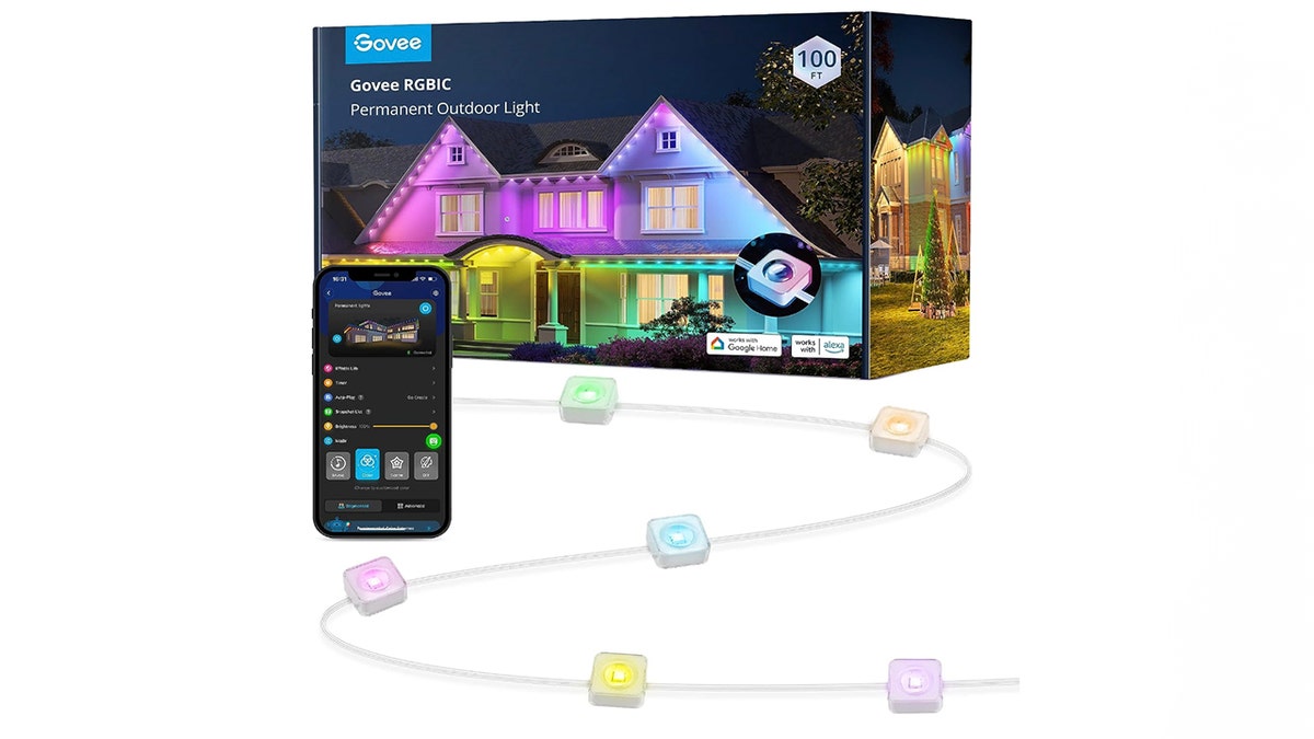 Govee outdoor light Amazon