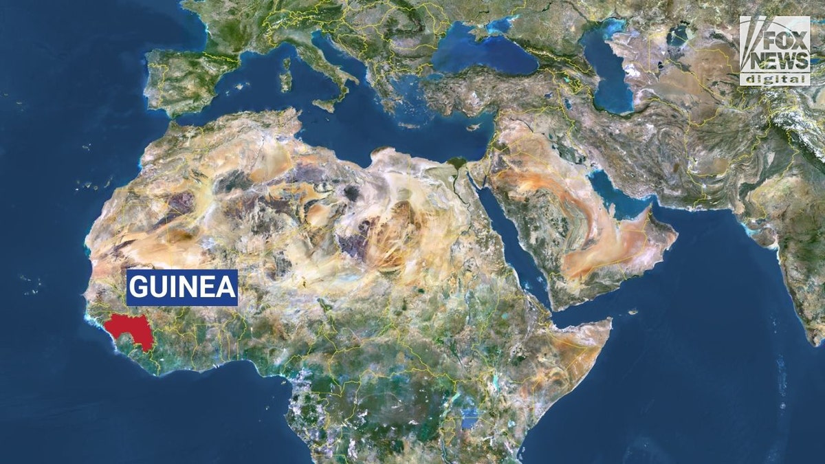 guinea africa 