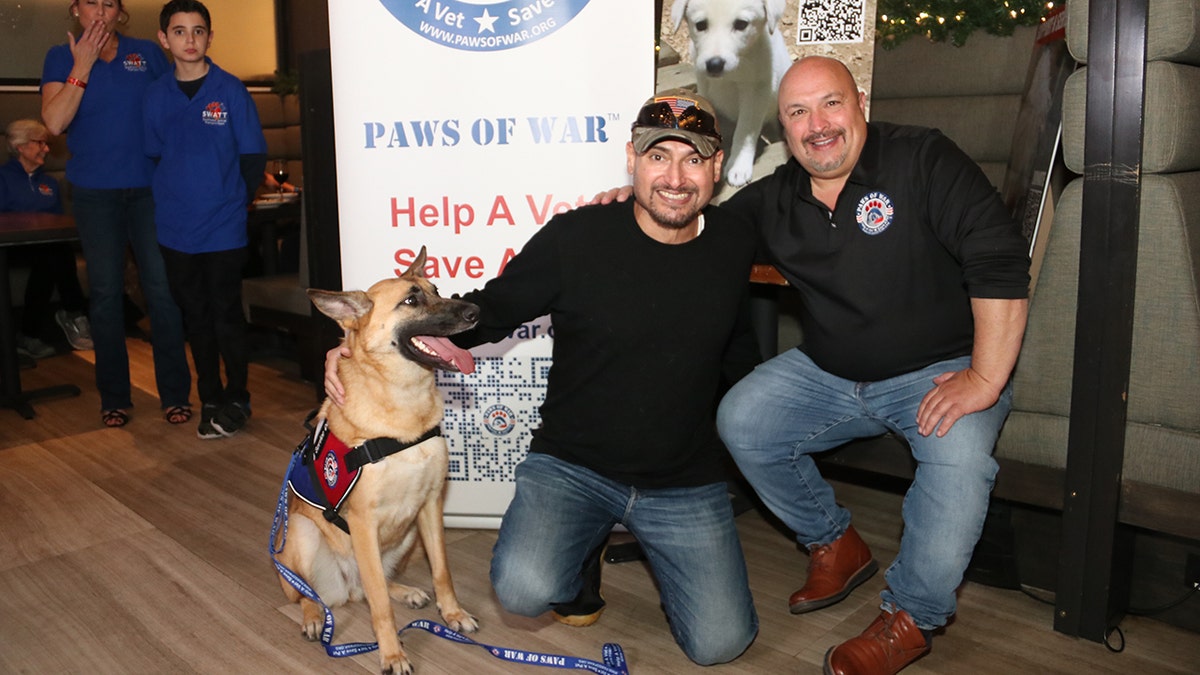 paws of war service dog and vet