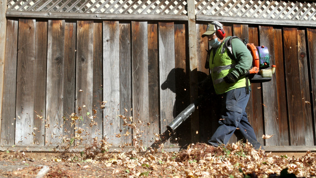 Man blowing leaves