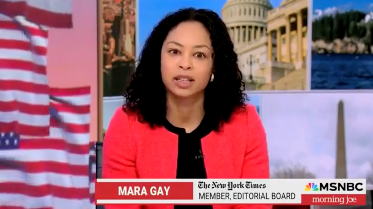 Mara Gay speaking on MSNBC