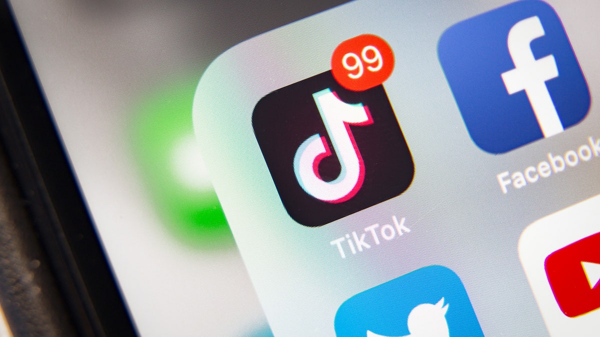 An image of the TikTok icon on a phone screen.