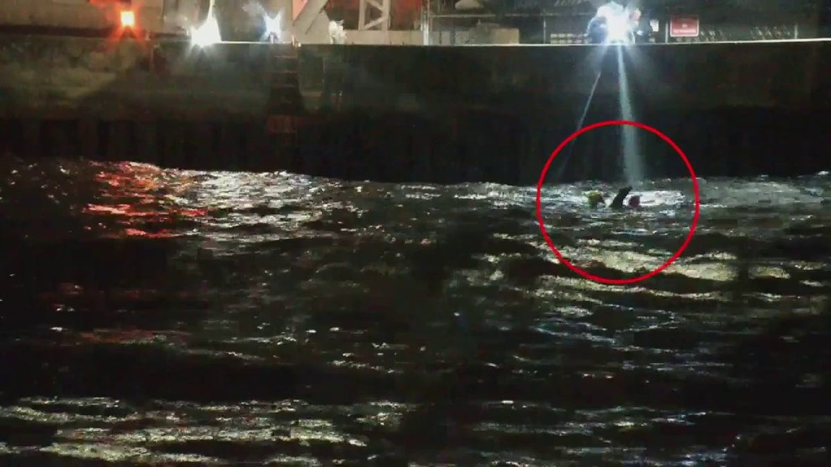 firefighters swimming with dog